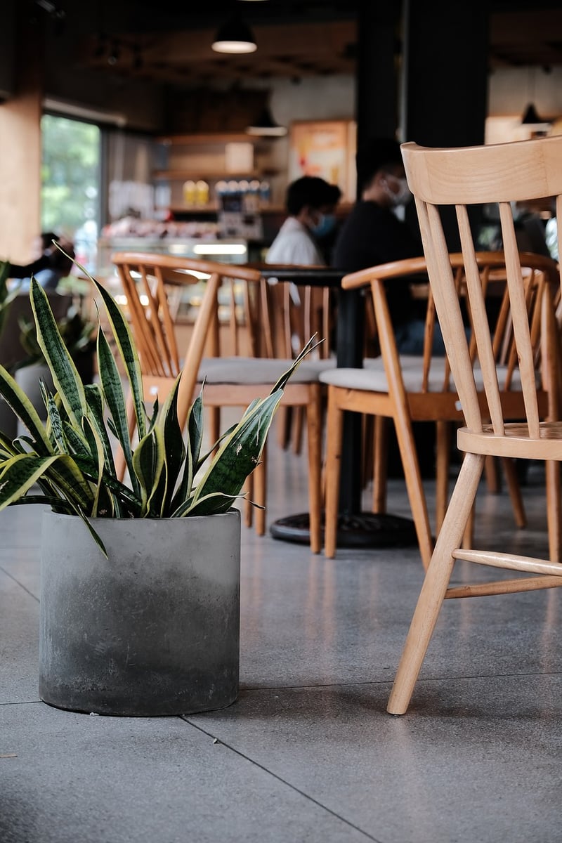 Social Green Spaces