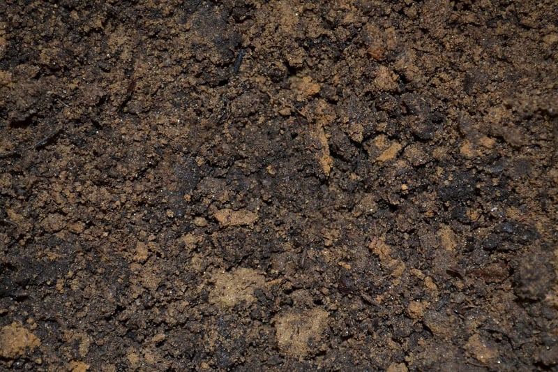 Soil Nutrition
